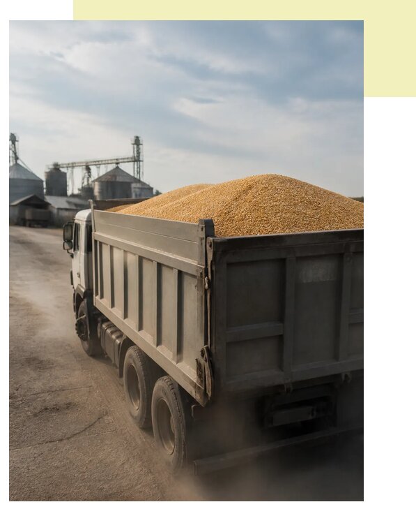 Перевозка сельхозпродукции навалом в Орехово-Зуево по цене от 3126 р. | Агросервис-Рхв