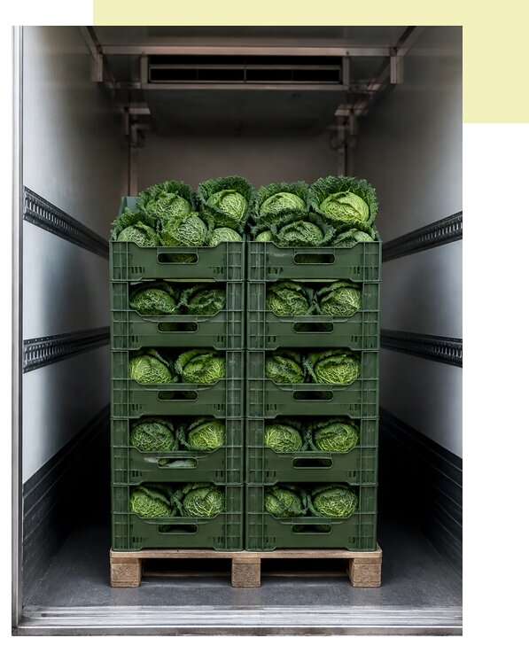 Перевозка савойской капусты в Орехово-Зуево по цене от 5731 р. | Агросервис-Рхв