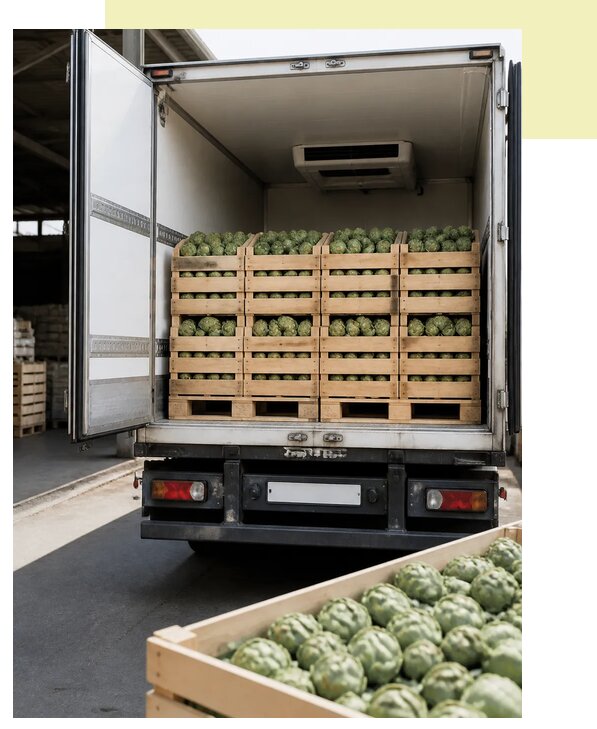 Автоперевозка артишоков в Орехово-Зуево по цене от 5210 р. | Агросервис-Рхв